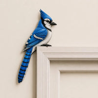 Blue Jay Bird